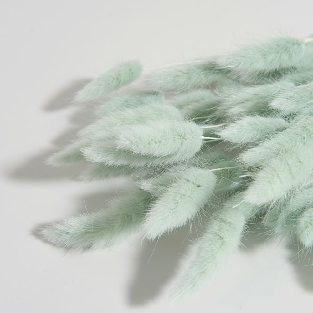 Bouquet de chatons vert d'eau - Maisons du Monde