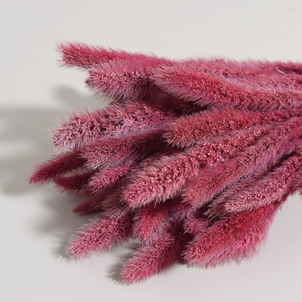 Bouquet de fleurs séchées roses - Maisons du Monde