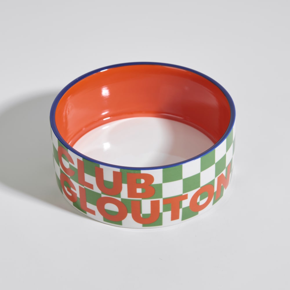 Gamelle pour chien en céramique multicolore D15