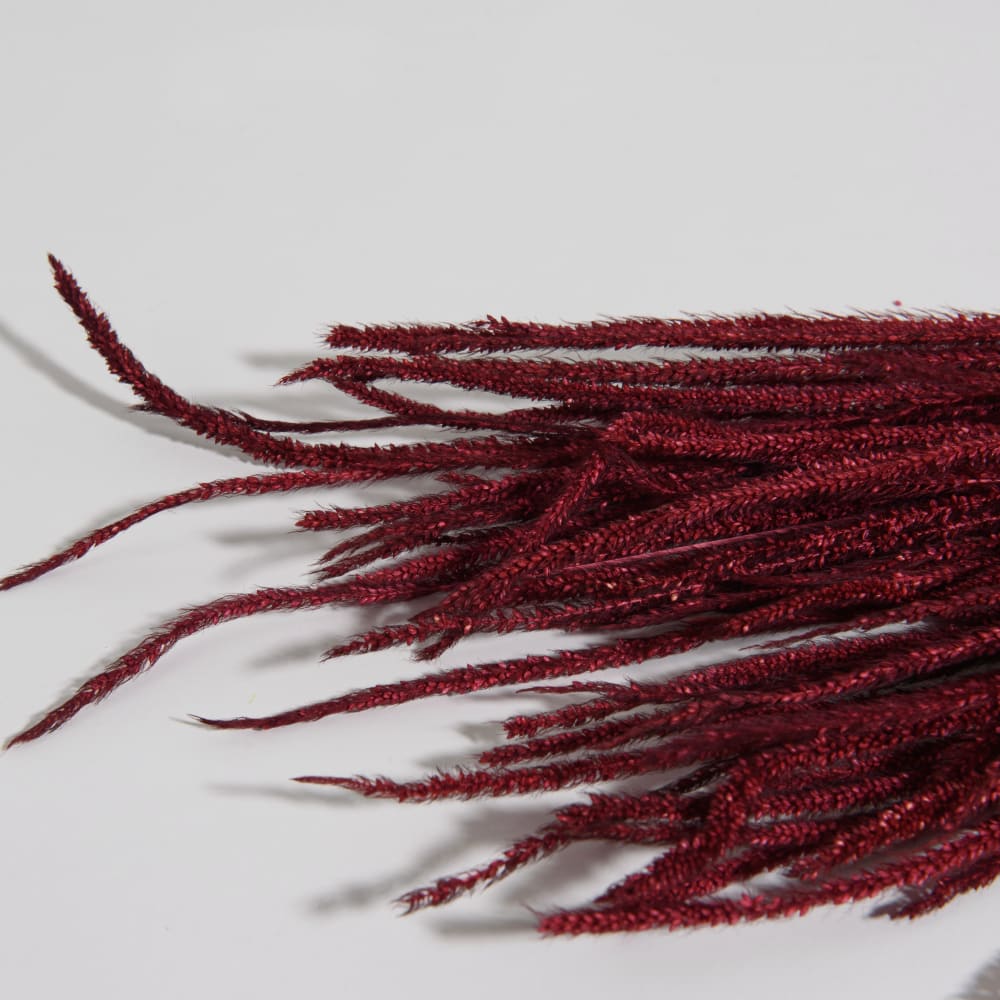 Bouquet de fleurs séchées bordeaux - Maisons du Monde