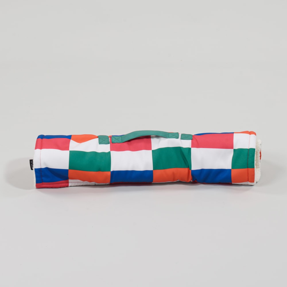 Tapis pour animaux multicolore