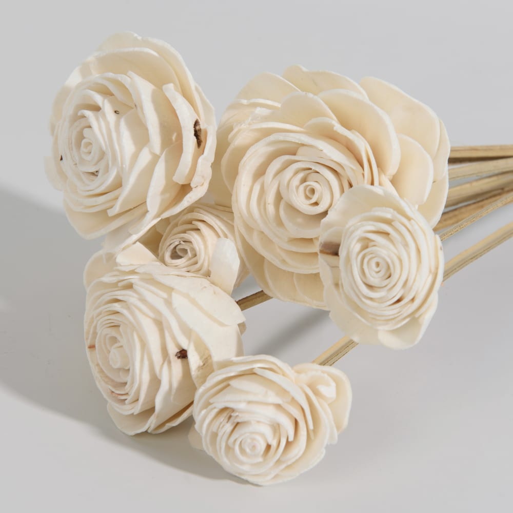 Strauß aus getrockneten beigen Blumen - Maisons Du Monde