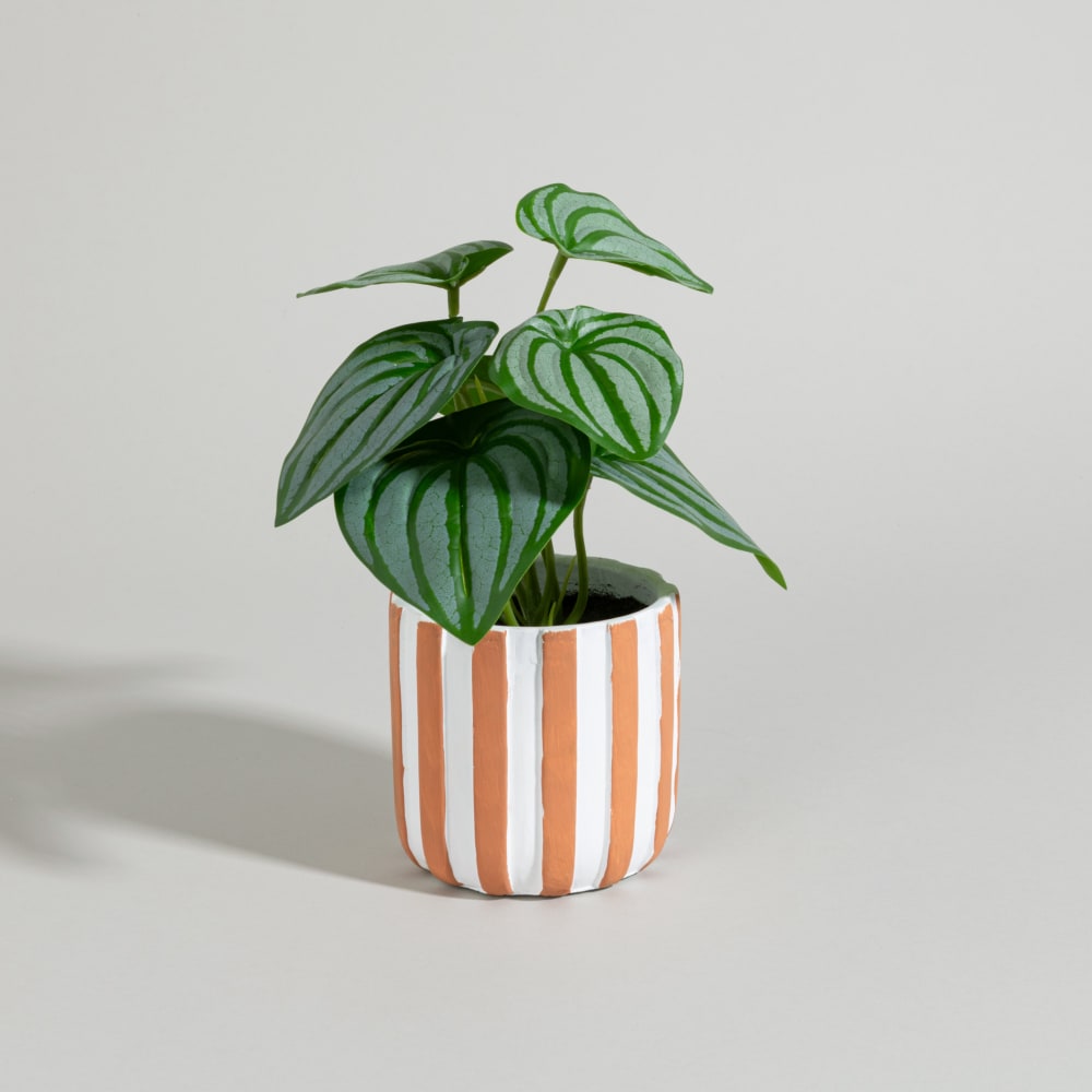 planta artificial en maceta bicolor