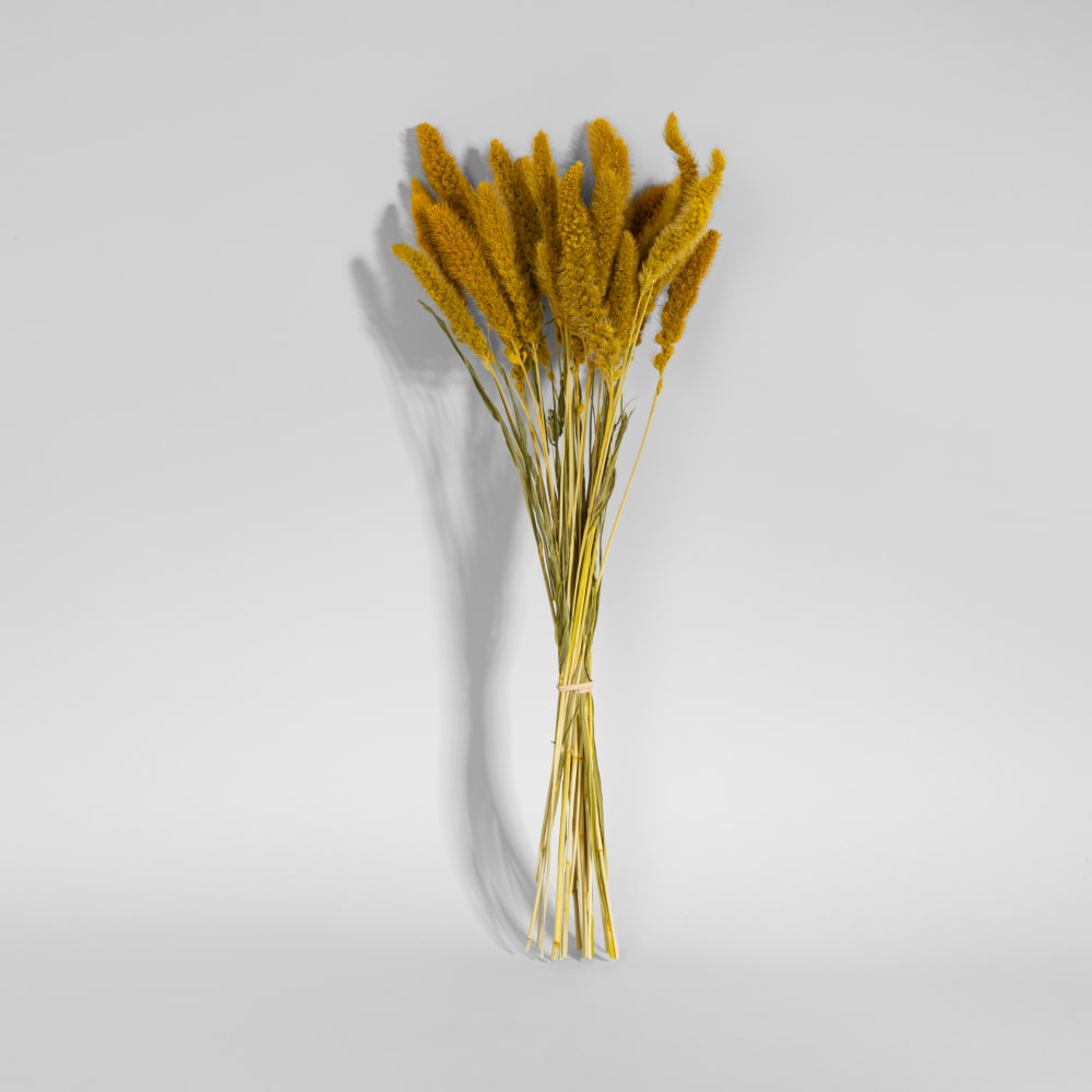 Bouquet de fleurs séchées jaunes
