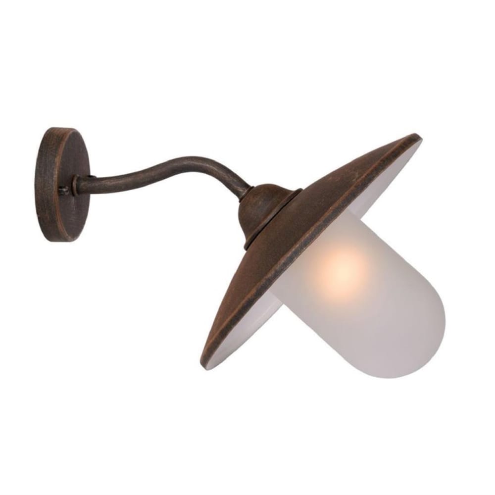 Applique d'extérieur col de cygne métal et verre sablé H24cm