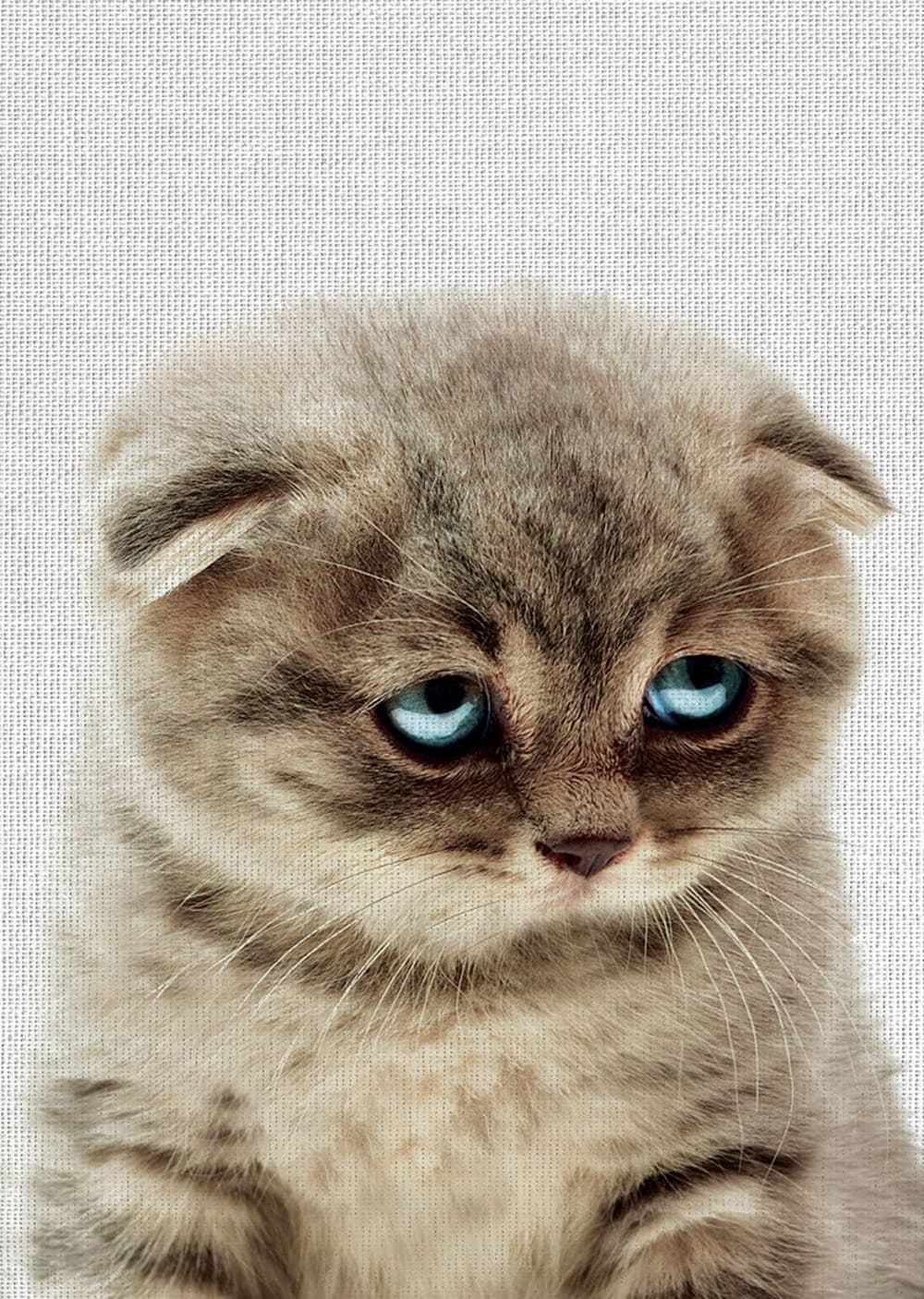 Tableau métal chat 32x45