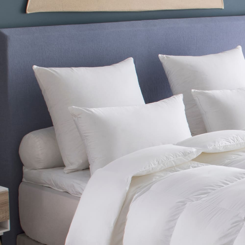 Oreiller canada - moelleux 50x70 cm - Maisons du Monde