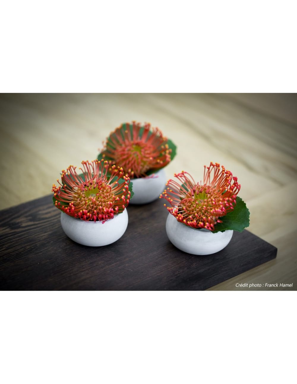 Lot de 3 photophores en béton beryl green — vue 3
