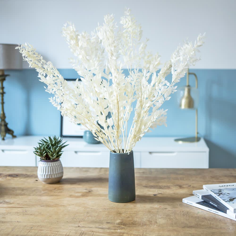 Réconciliation Végétale Botte de fleurs séchées Ruscus blanc environ 10 tiges - Fibres Naturelles