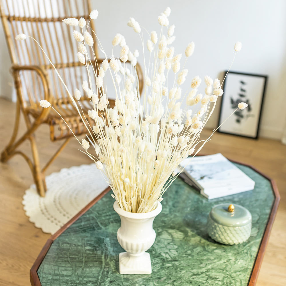 Botte de fleurs séchées Phalaris blanc 150g - Maisons du Monde