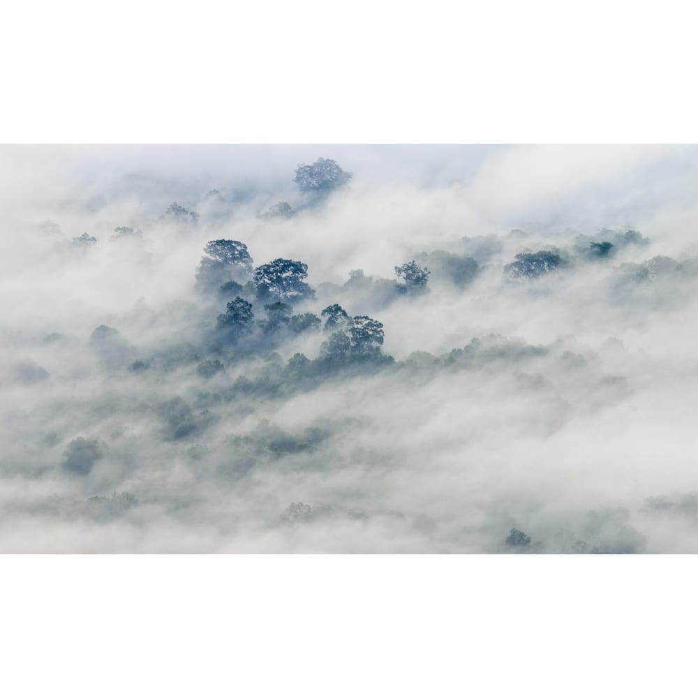 Papier peint panoramique brumes matinales 01 340 x 250 cm — vue 3