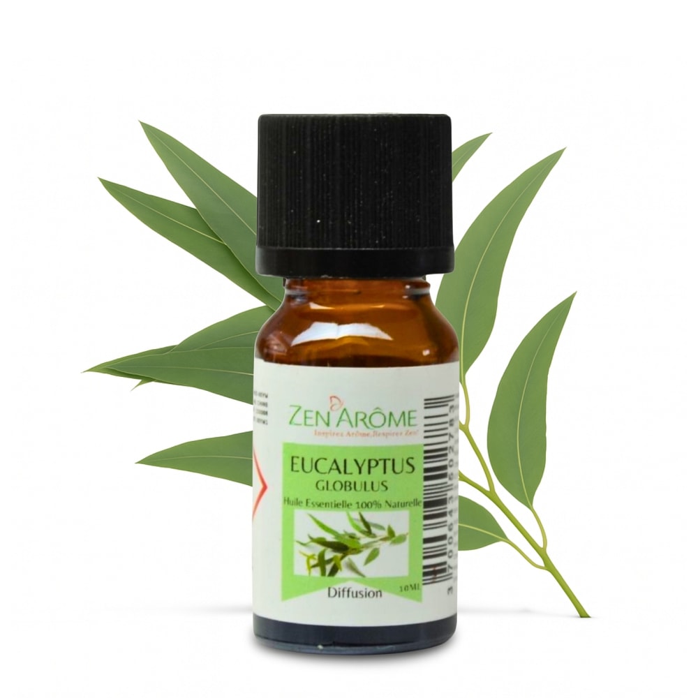Ätherisches Öl Eukalyptus 10ml - Maisons Du Monde