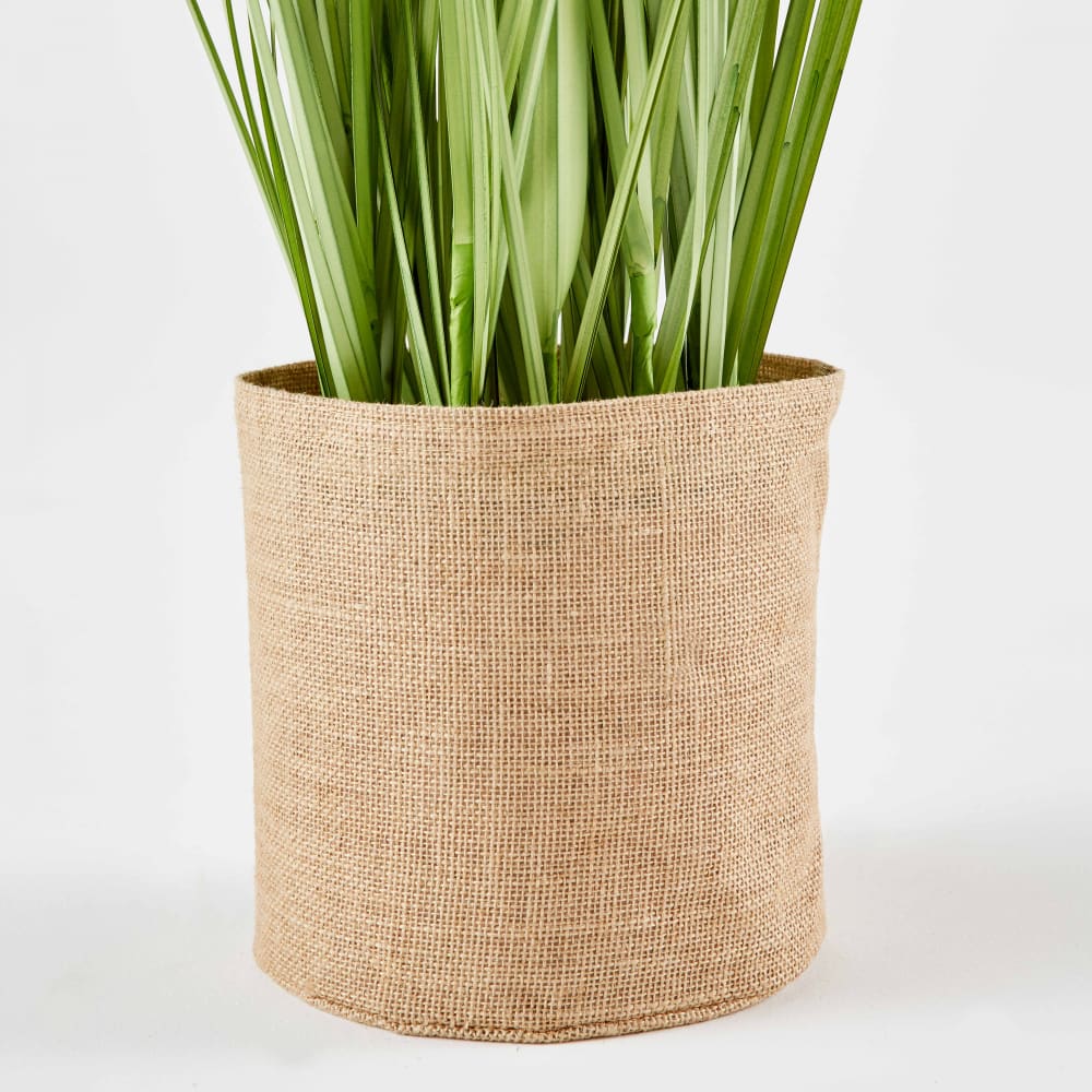 Kunstpflanze Wildgras Miscanthus Höhe: 185 cm Oà¯ko Grün -