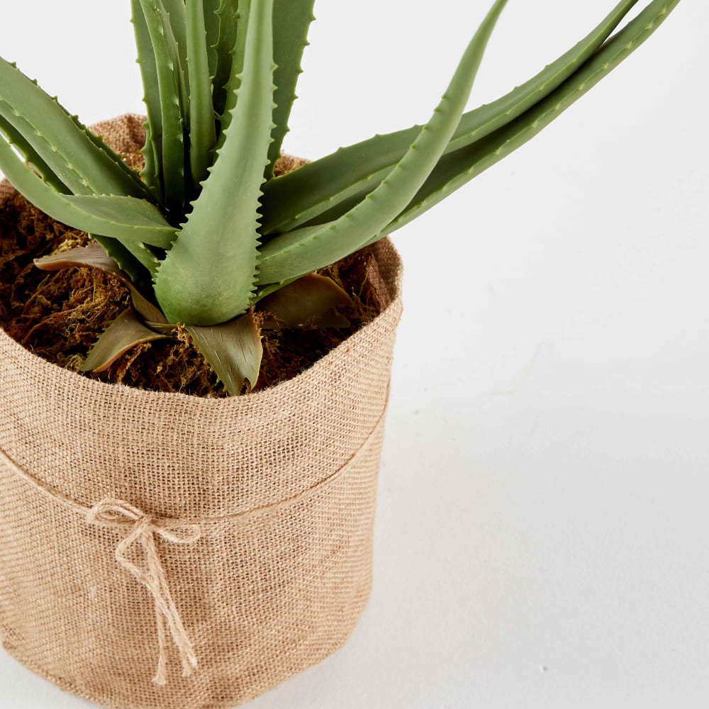 Plante artificielle avec pot Aloe Vera, hauteur 43 cm vert - Maisons du Monde