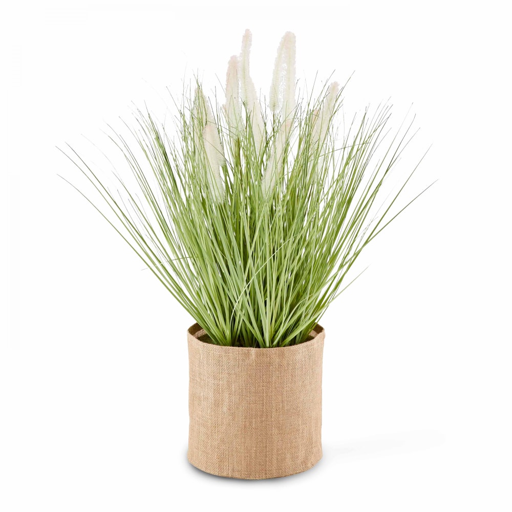 plante artificielle Herbe