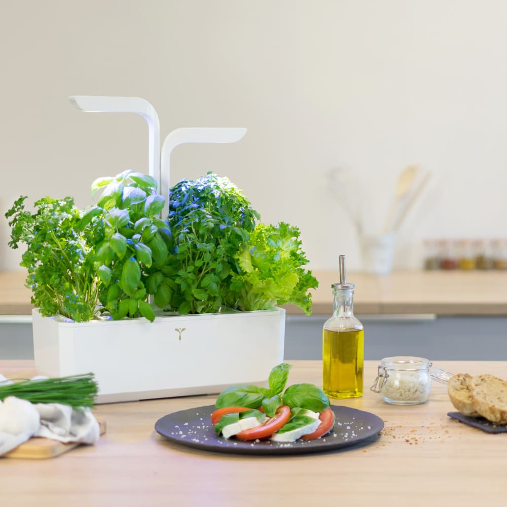 Potager d'intérieur Véritable® classic