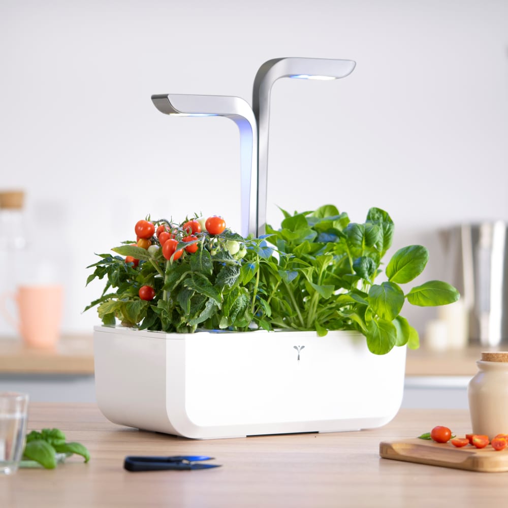 Potager d'intérieur Véritable® smart arctic white