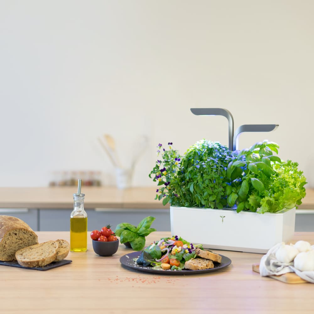 Potager d'intérieur Véritable® connect infinity grey