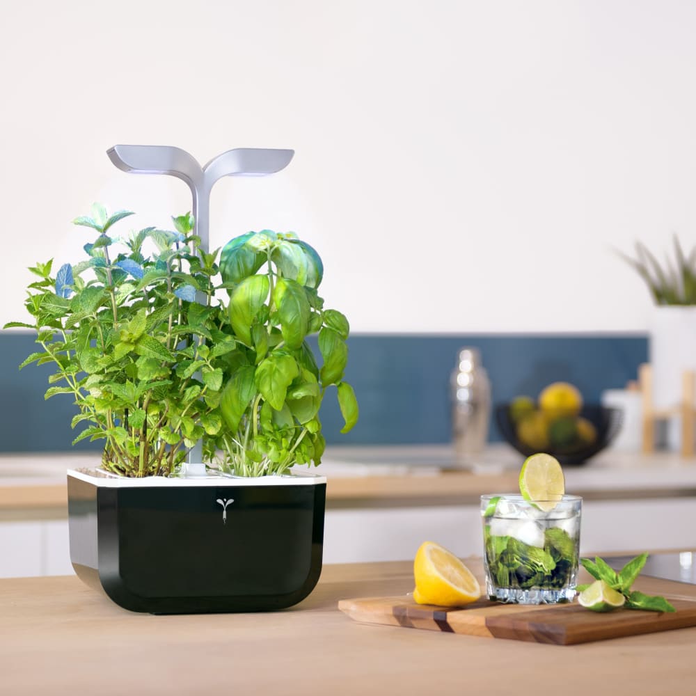 Potager d'intérieur Exky® smart soft black - Maisons du Monde