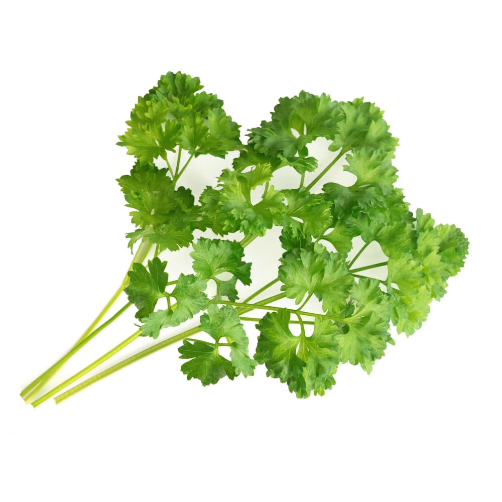 Lingot® Persil Frisé BIO compatible potager Véritable® et Exky® - Maisons du Monde