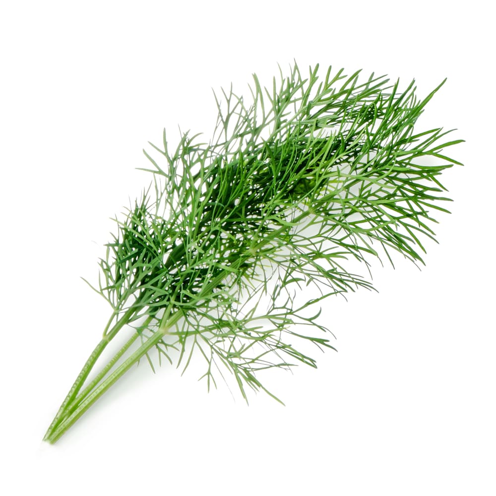 Lingot® Aneth BIO compatible potager Véritable® et Exky® - Maisons du Monde