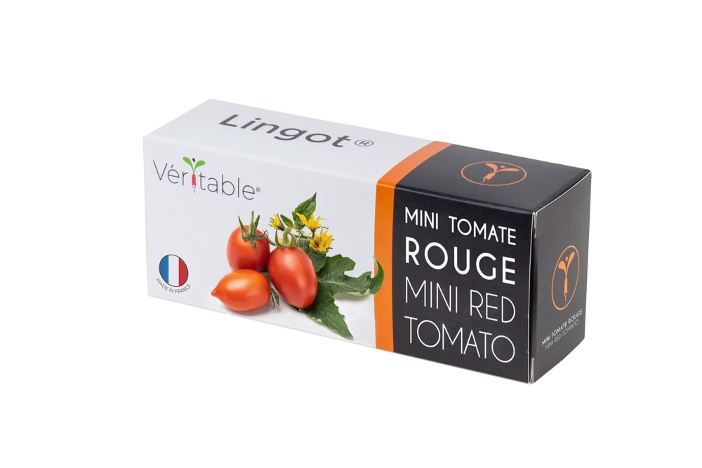 Véritable Lingot Mini Tomate Rouge compatible potager Véritable et Exky style contemporain Orange Fibre De Coco