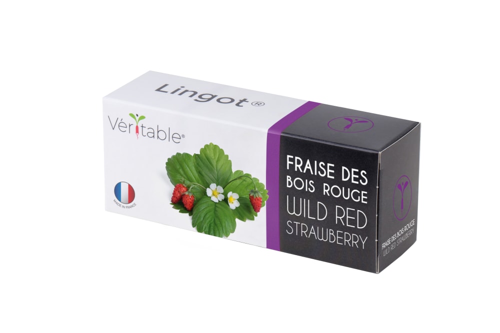 VERITABLE Lingot V&eacute;ritable Fraise des Bois Rouge