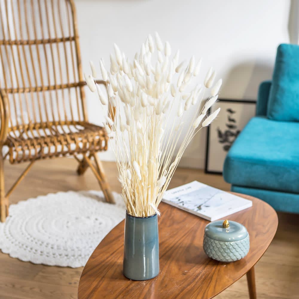 Botte de fleurs séchées lagurus ovatus blanc (env. 100 tiges) - Maisons du Monde
