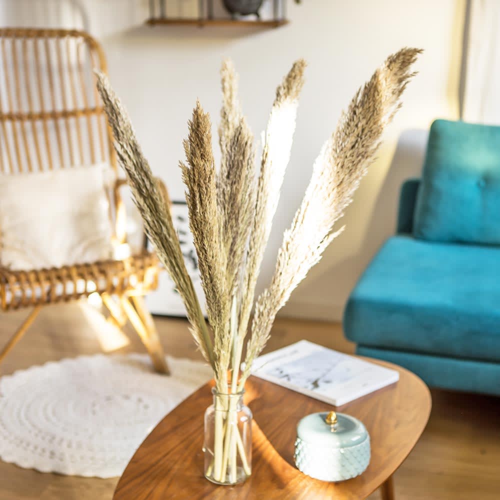 Botte de fleurs séchées miscanthus sec naturel 6 tiges