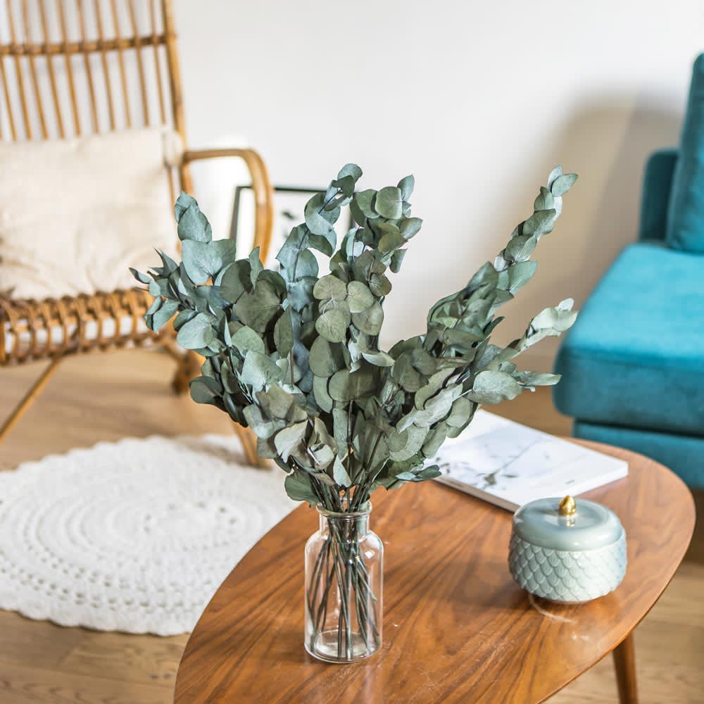 Botte de fleurs séchées eucalyptus cinerea stabilisé - Maisons du Monde