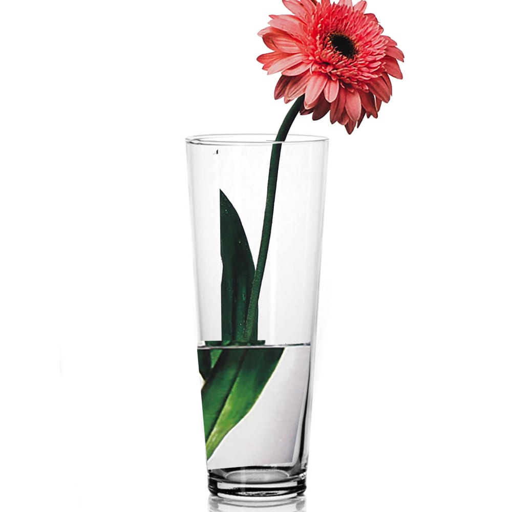 Vase rond en verre transparent forme conique H26cm - Maisons du Monde