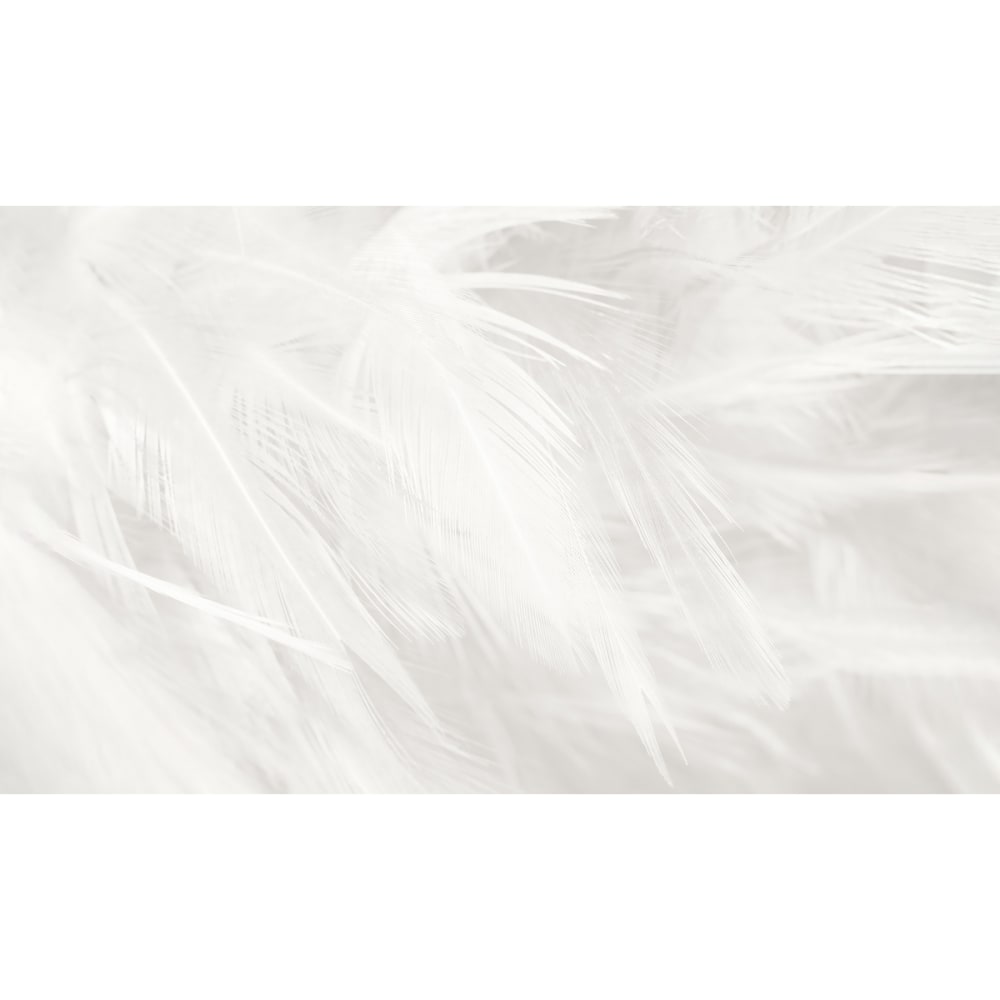 Papel pintado panorámico plumas,  255 x 250cm - Maisons du Monde