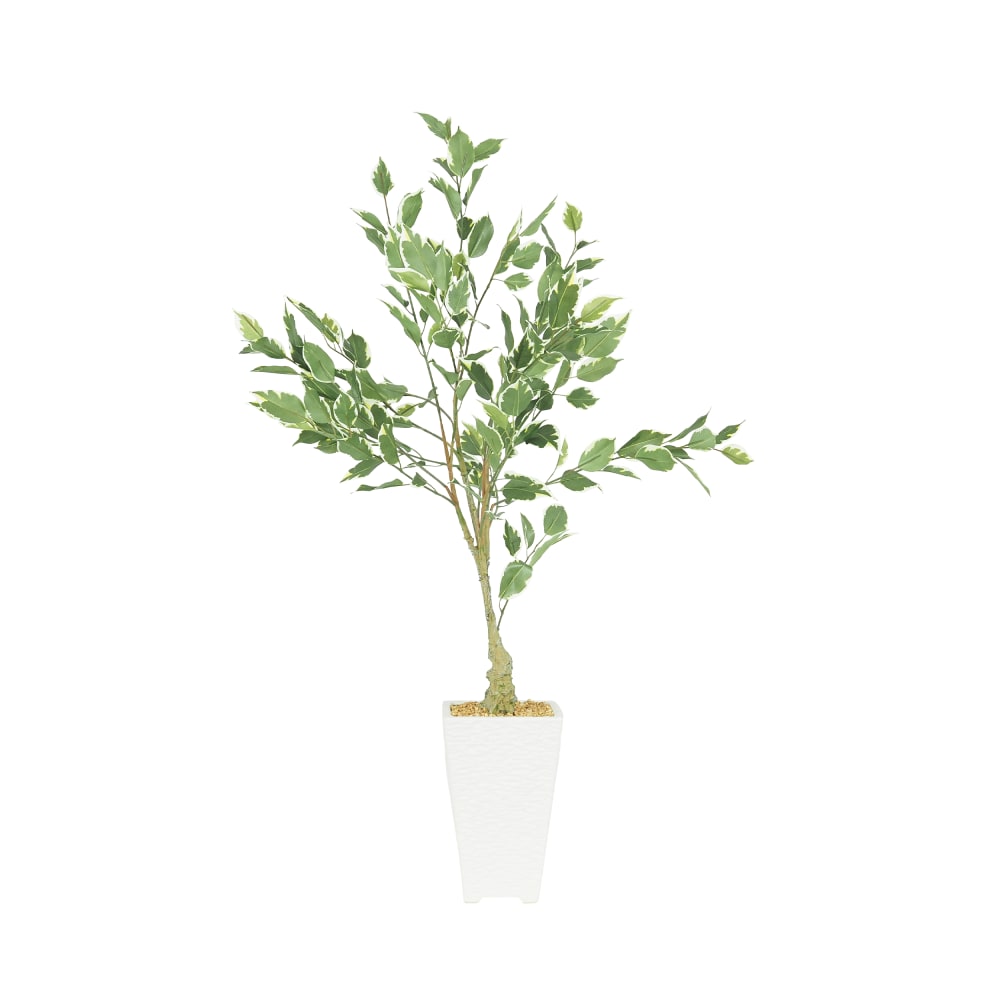 ficus artificiel panaché