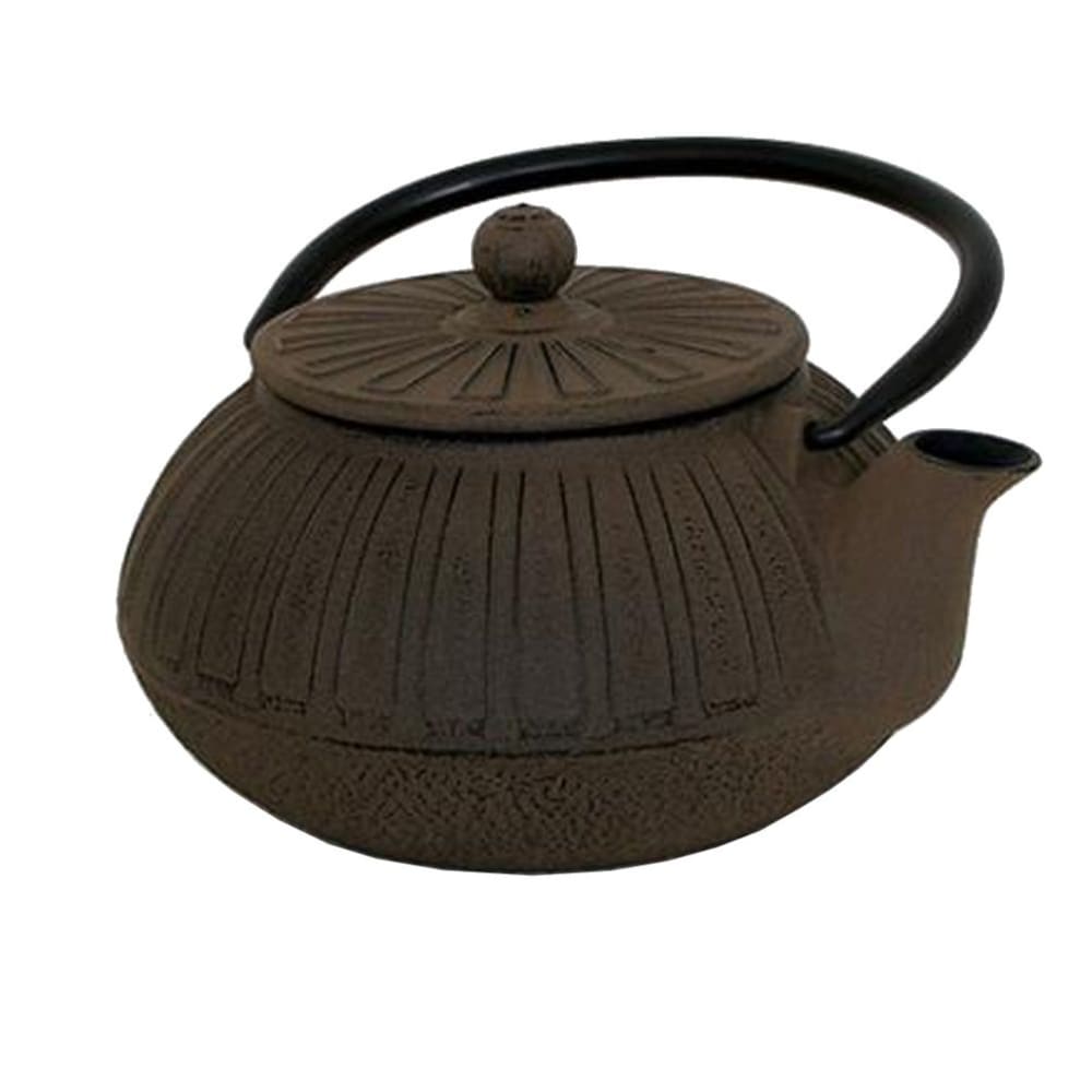 Faye Théière Japonaise marron en fonte 0,6L