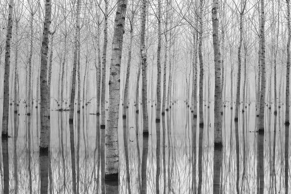 Tableau automnale pieds dans l'eau imprimé sur toile 90x60 cm