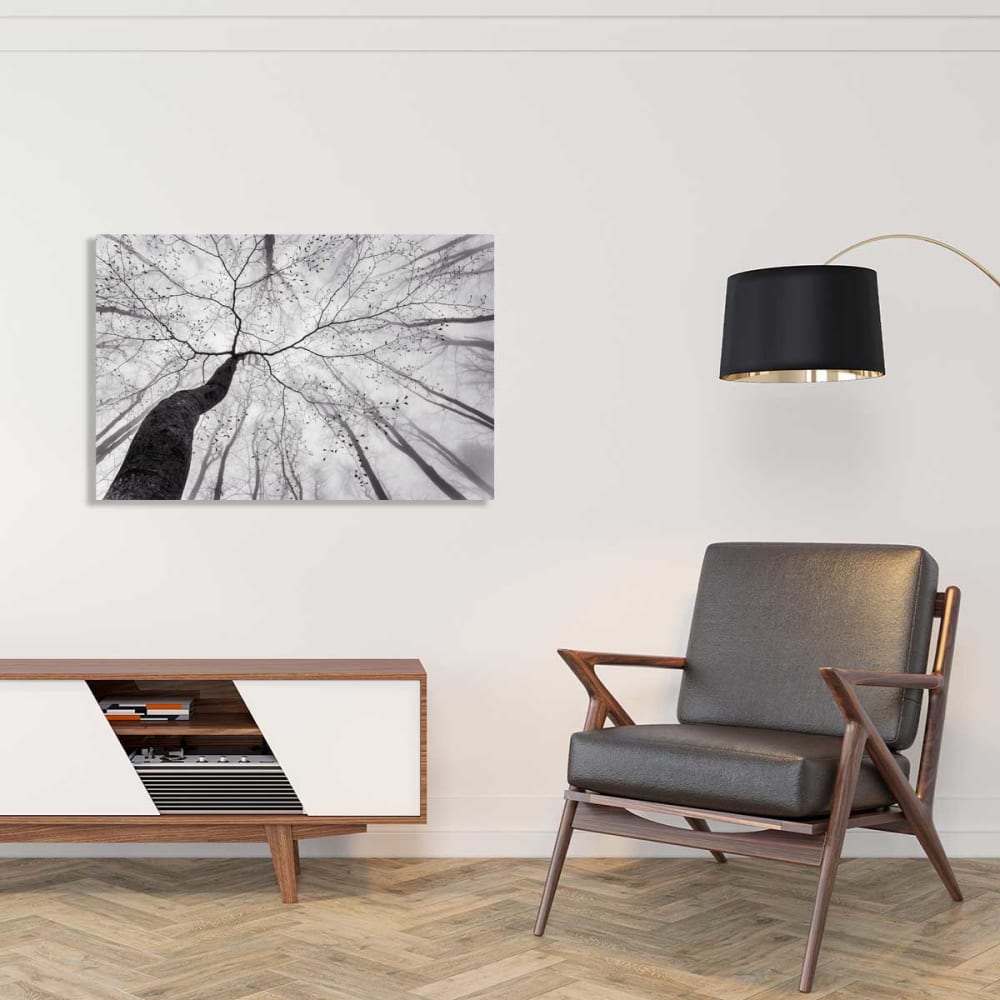 Tableau nature canopée impression sur aluminium 120x80 cm - Maisons du Monde