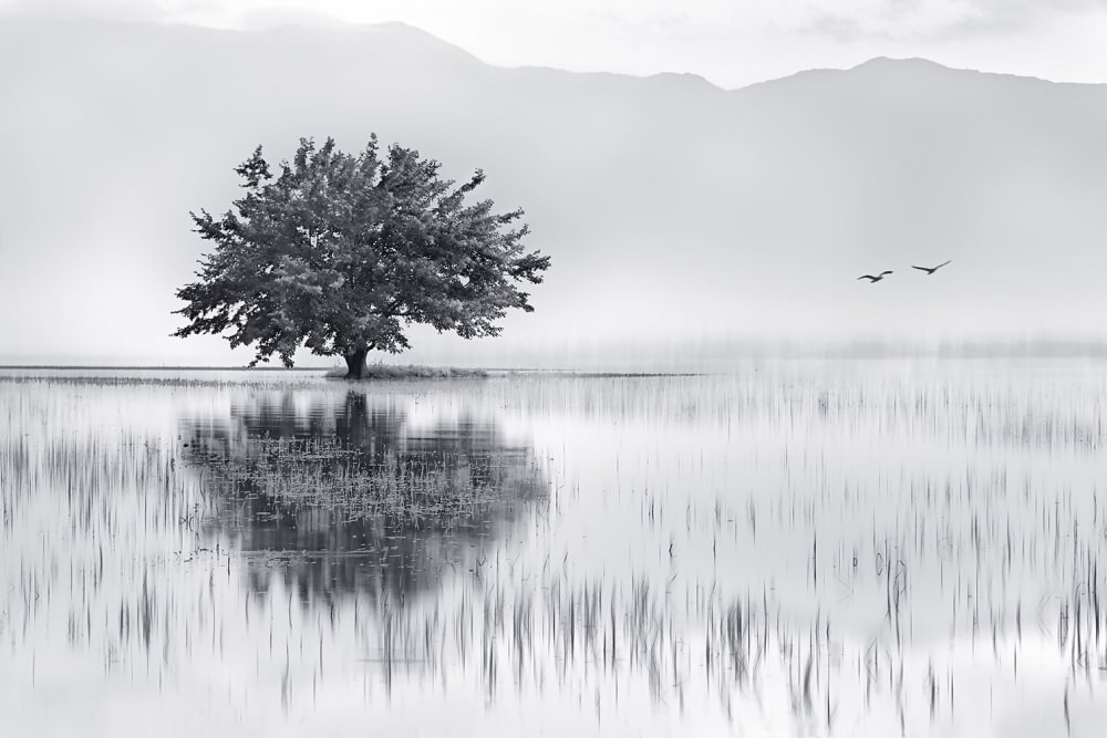 La natura dipinge i riflessi dell'acqua stampa su tela 45x30cm - Modello Contemporaneo - Nero - PES - Poliestere
