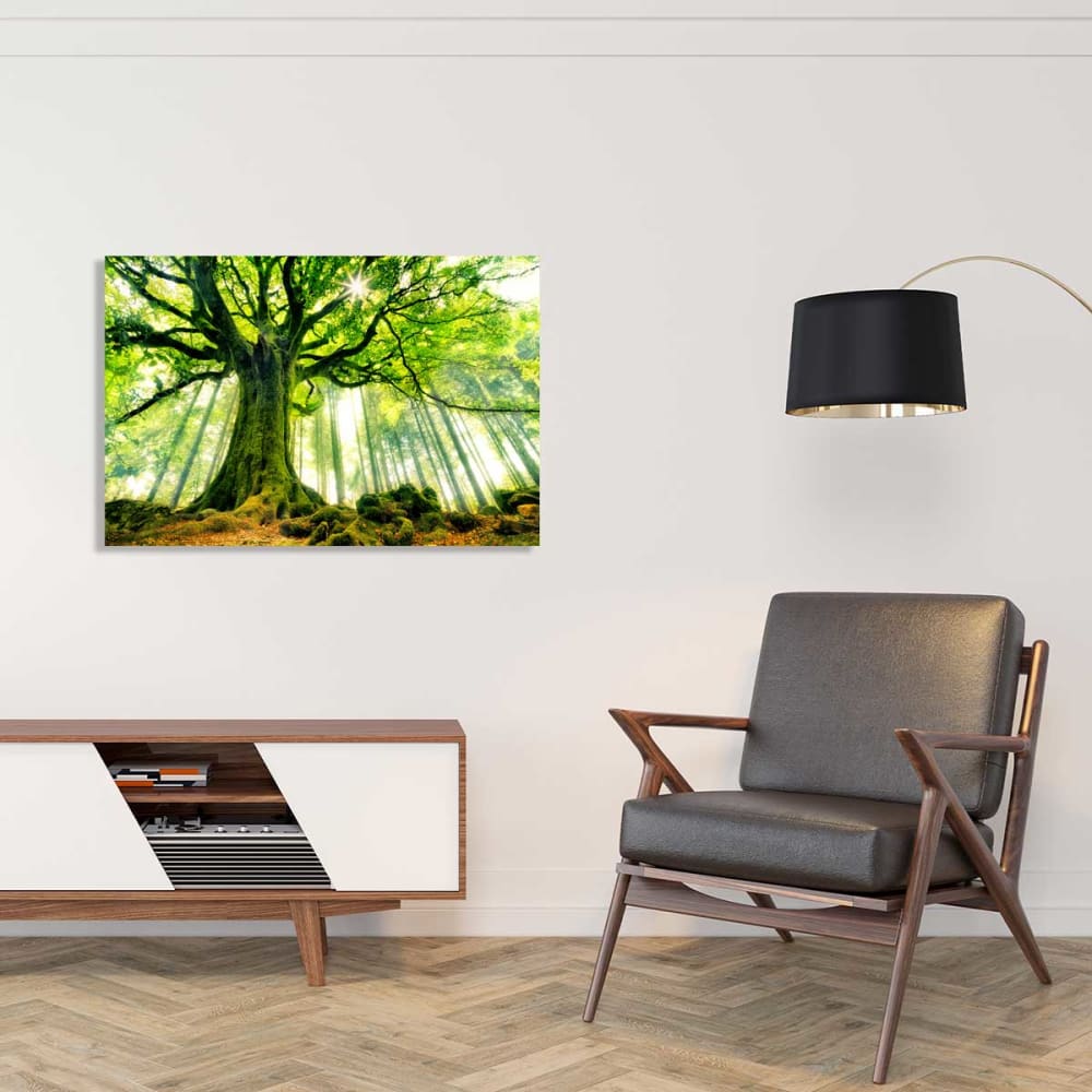Tableau nature l 'hêtre de ponthus imprimé sur toile 60x40 cm
