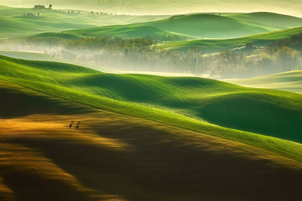 Tableau nature collines brumeuses Tableau plexiglas 120x80 cm