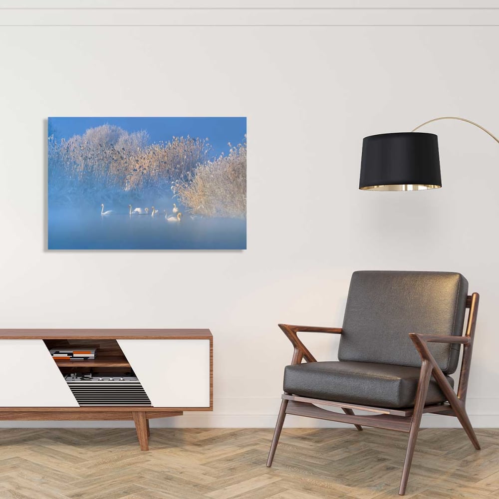 Tableau cygnes dans le givre matinal toile imprimée 120x80 cm
