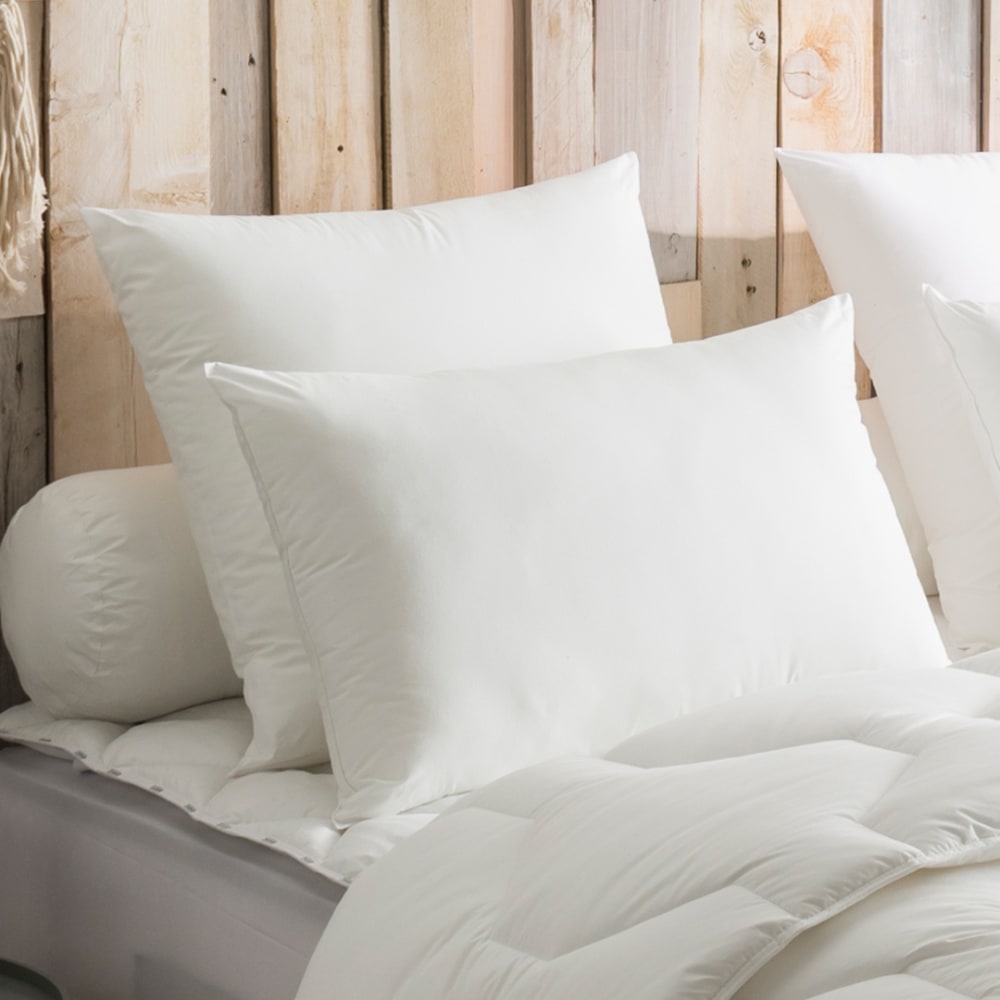 Oreiller protection active anti-acariens moelleux 50x70 cm - Maisons du Monde