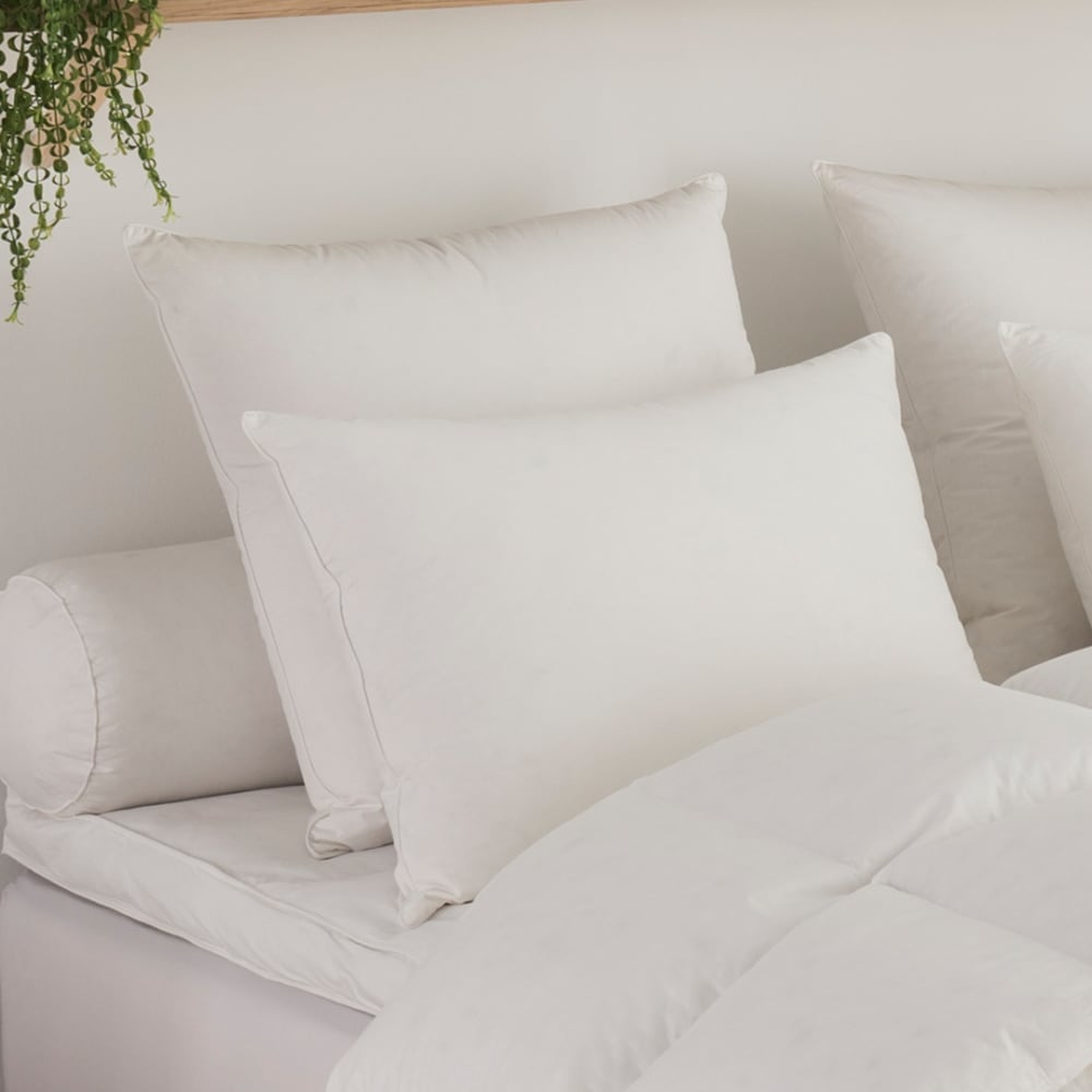Oreiller toucher duvet medium 40x60 cm - Maisons du Monde