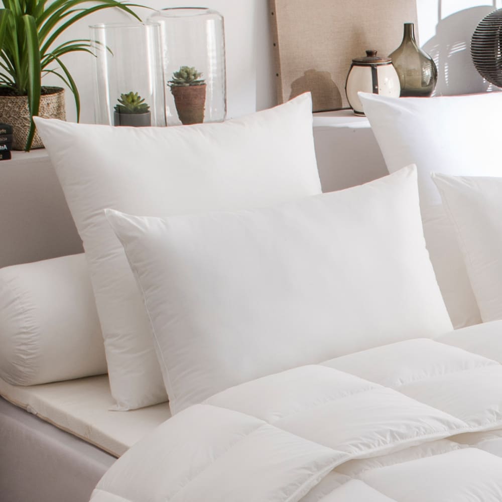 Oreiller anti-acariens medium 60x60 cm - Maisons du Monde