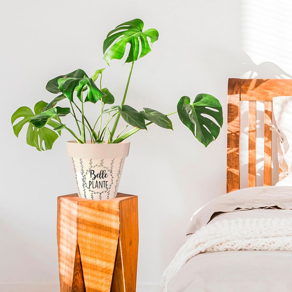 Cache pot bambou D17cm - Maisons du Monde