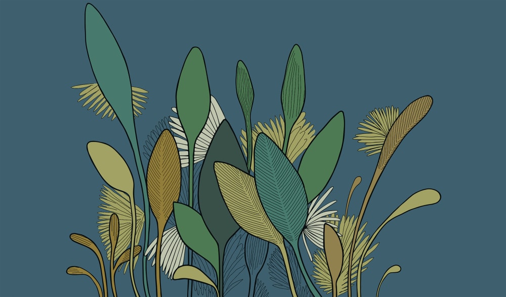 Papel pintado panorámico végétal, verde 340 x 250cm - Maisons du Monde