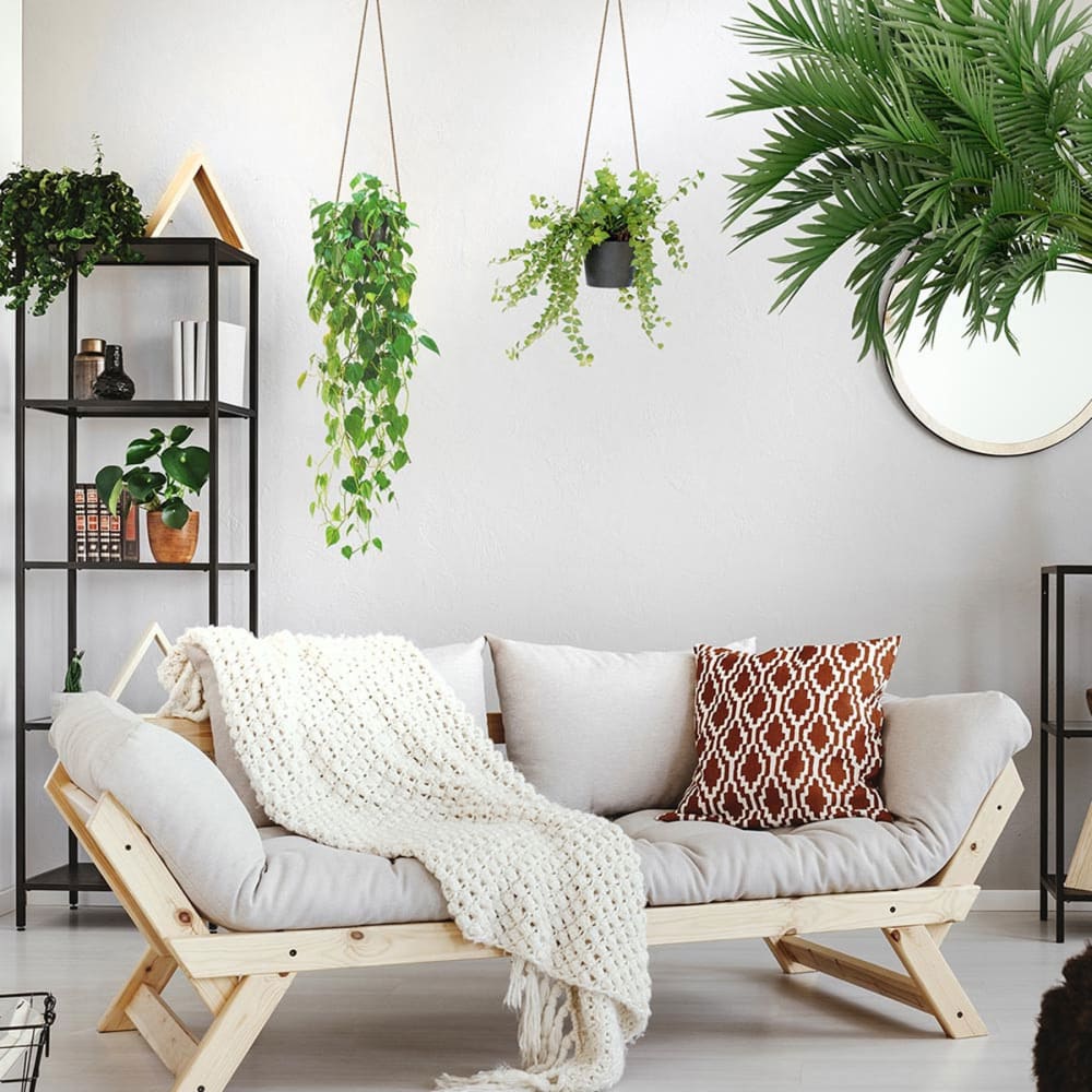 Autocollant mural suspensions plantes 71x51cm - Maisons du Monde