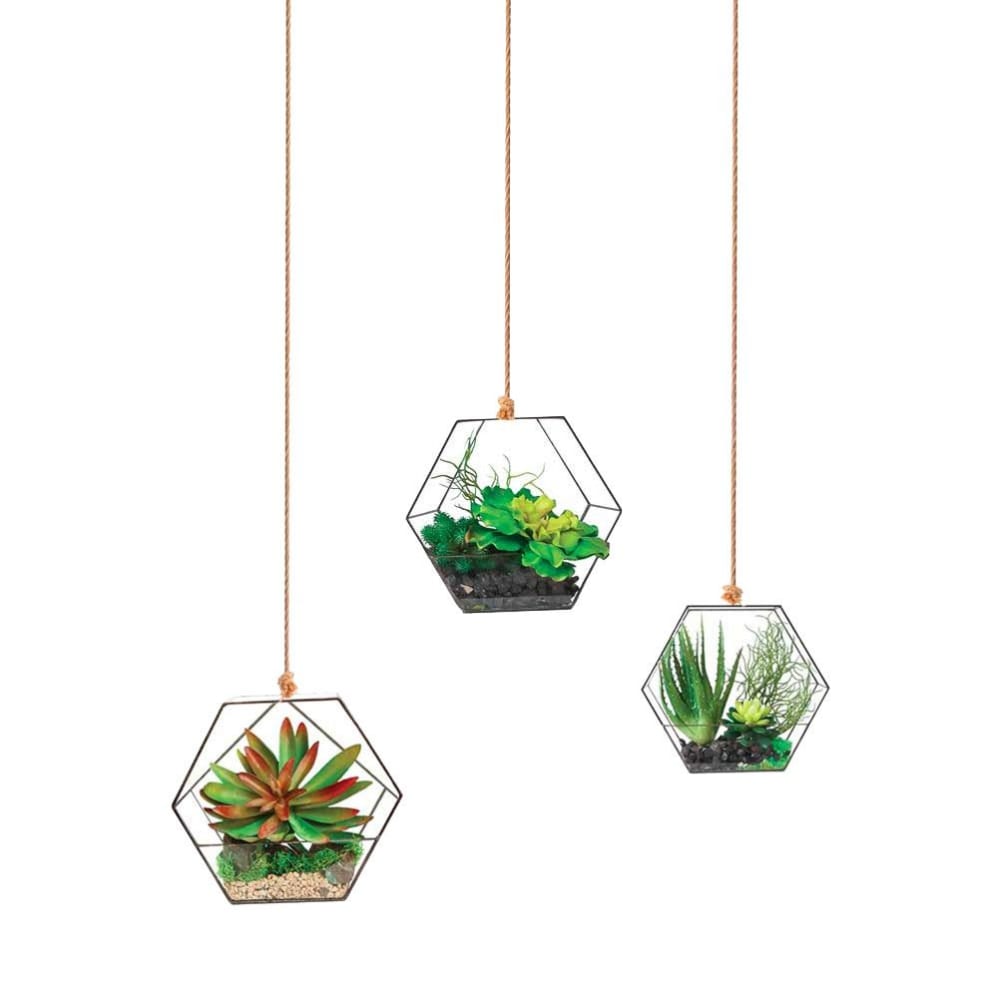 Autocollant mural suspensions plantes 75x54cm