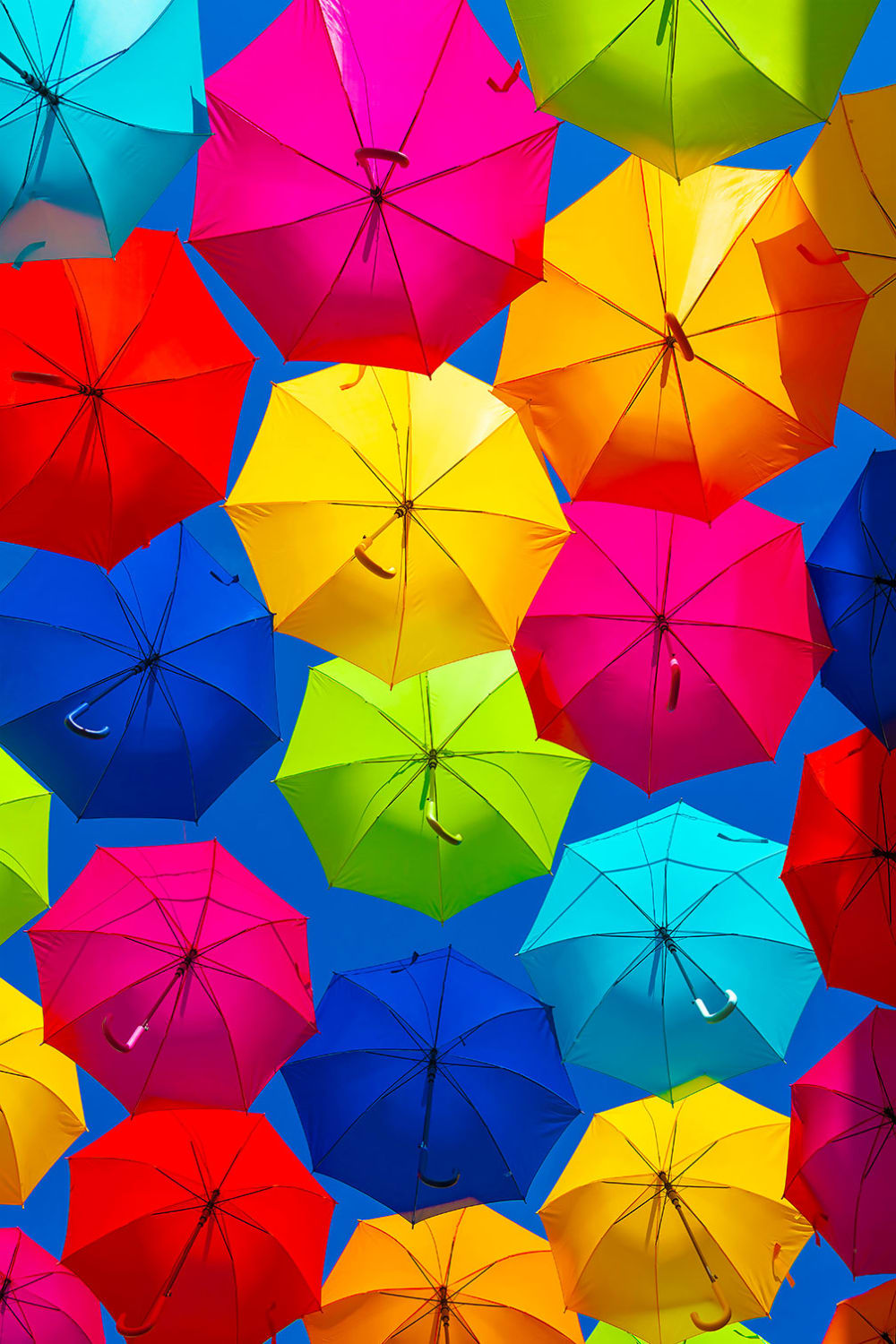 Tableau ciel de parapluies imprimé sur toile 30x45 cm