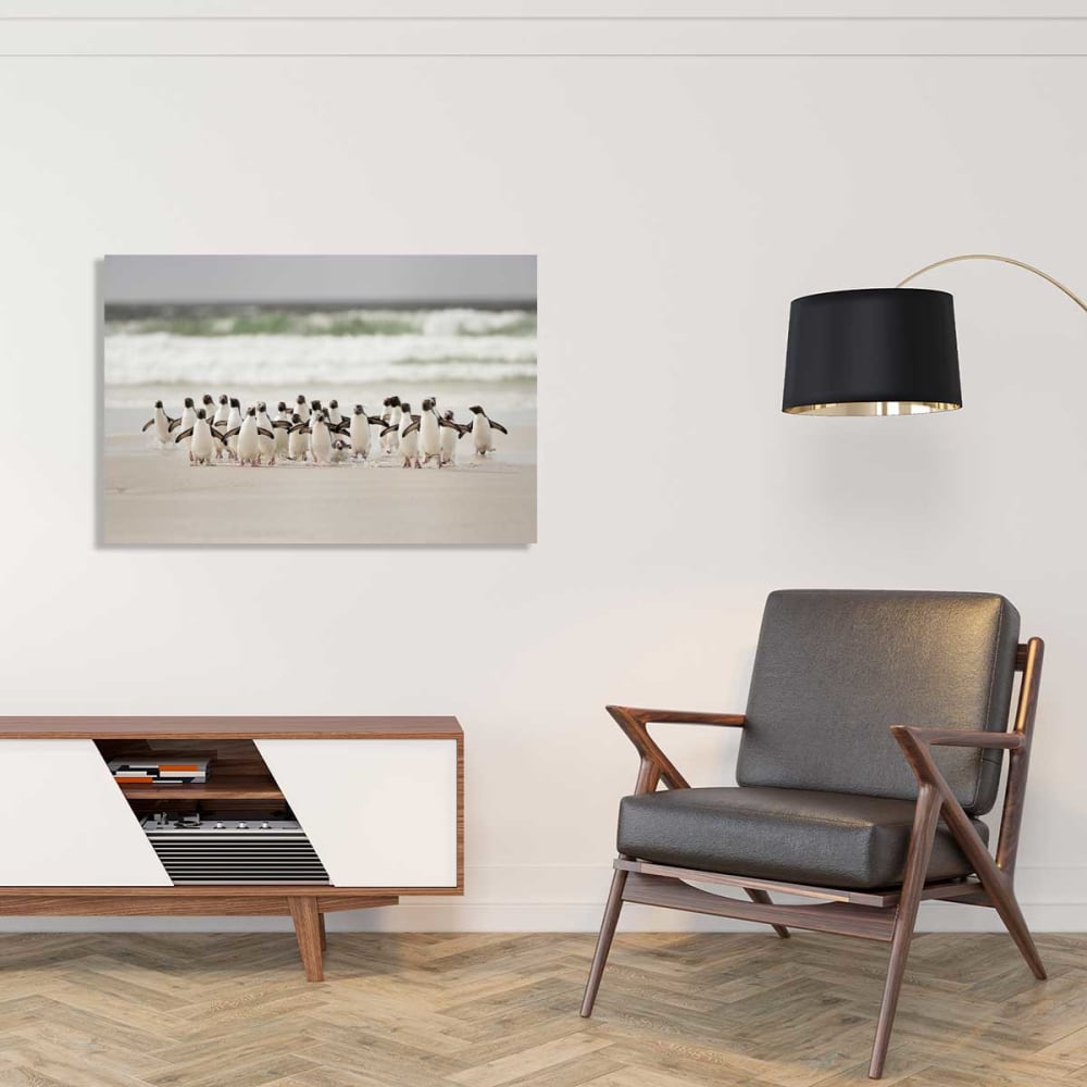 Stampa animale pinguino cm - Hexoa