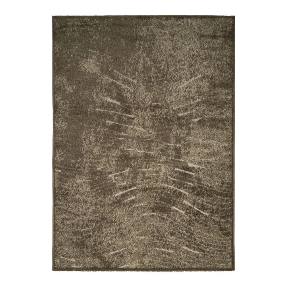 Tapis extérieur intérieur brun 120x170